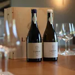 Villa Lusus Wine House - Refugio Vinico Com Piscina No Dao Sao Joao de Lourosa