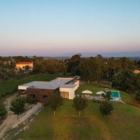 Villa Lusus Wine House - Refugio Vinico Com Piscina No Dao