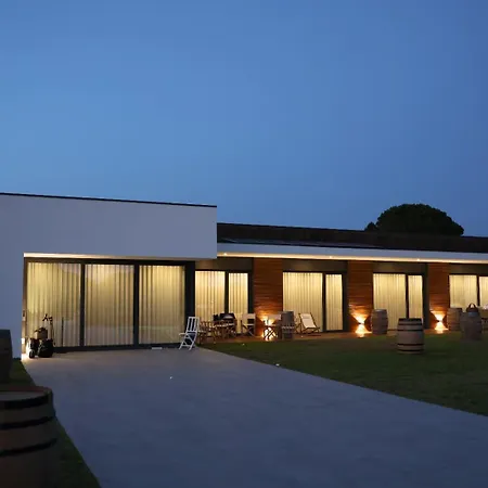 Lusus Wine House - Refugio Vinico Com Piscina No Dao Villa