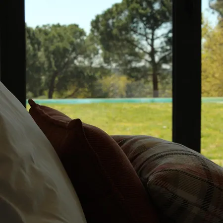 Lusus Wine House - Refugio Vinico Com Piscina No Dao * Sao Joao de Lourosa