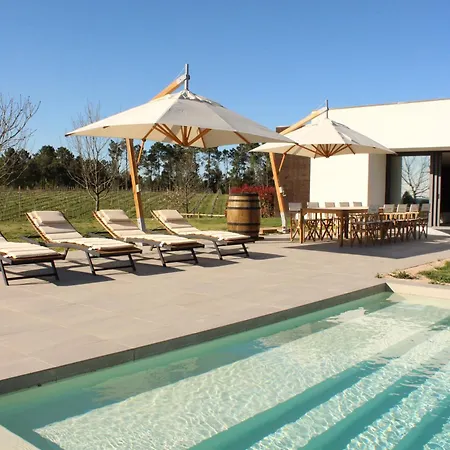 Lusus Wine House - Refugio Vinico Com Piscina No Dao Villa *