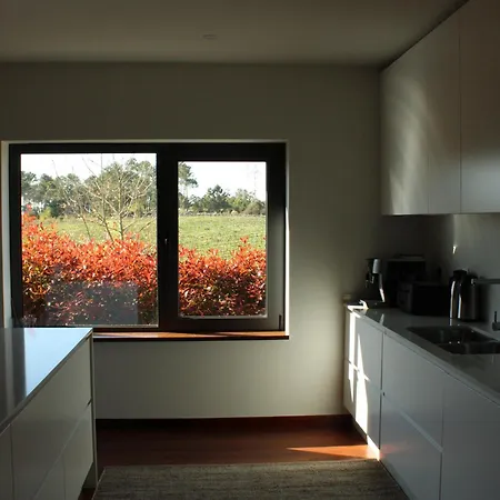 Lusus Wine House - Refugio Vinico Com Piscina No Dao Sao Joao de Lourosa