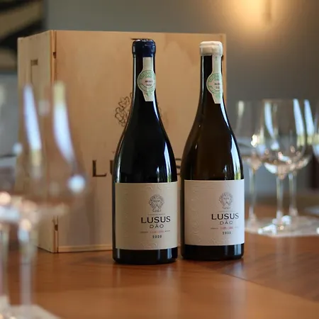 Villa Lusus Wine House - Refugio Vinico Com Piscina No Dao Sao Joao de Lourosa