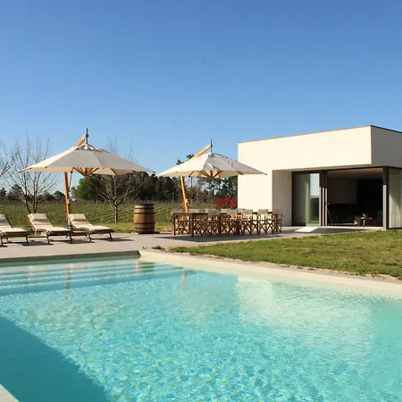 Lusus Wine House - Refugio Vinico Com Piscina No Dao Sao Joao de Lourosa