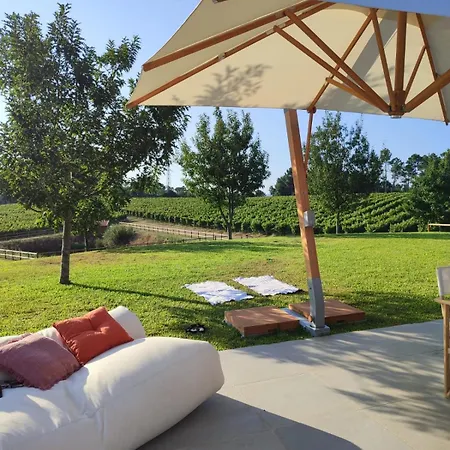 Villa Lusus Wine House - Refugio Vinico Com Piscina No Dao *