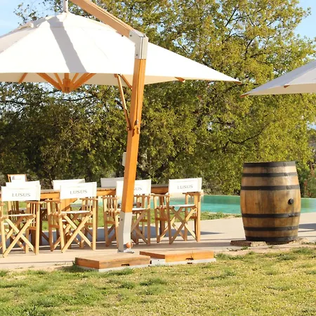 Villa Lusus Wine House - Refugio Vinico Com Piscina No Dao *