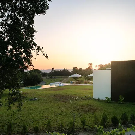 Villa Lusus Wine House - Refugio Vinico Com Piscina No Dao *