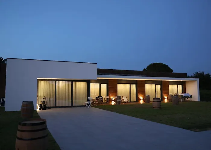 Lusus Wine House - Refugio Vinico Com Piscina No Dao וילה