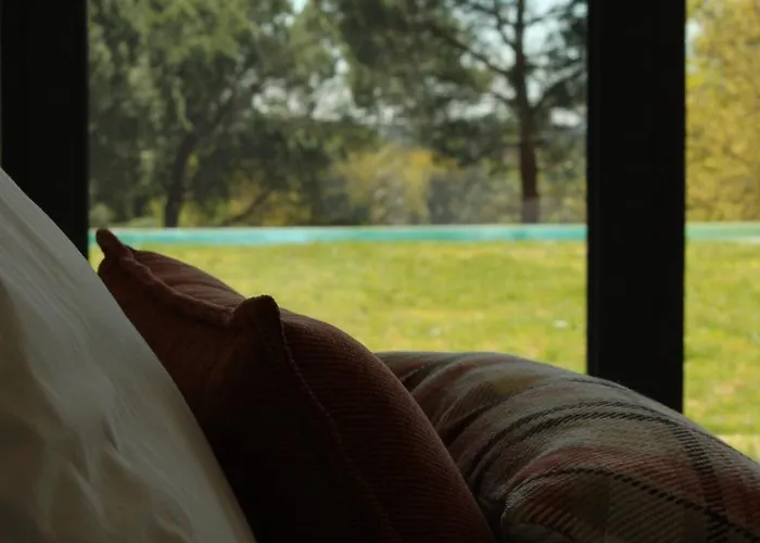 Lusus Wine House - Refugio Vinico Com Piscina No Dao * Sao Joao de Lourosa