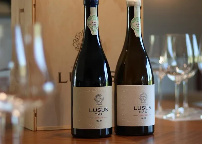 וילה Lusus Wine House - Refugio Vinico Com Piscina No Dao Sao Joao de Lourosa